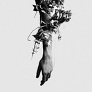 Mouse On The Keys: The Flowers Of Romance