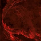 Albino Sound: Cloud Sports