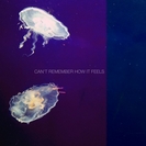 Chinah: Can't Remember How I Feel