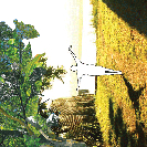 Brave Little Abacus: Masked Dancers: Concern In So Many Things You Forget Where You Are