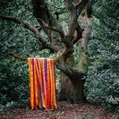 James Holden: The Animal Spirits