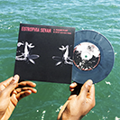 Kyle Hall: Teacher Plant