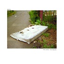 Midwife: Like Author, Like Daughter