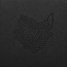 Mchy I Porøsty: Hypnagogic Polish Music For Teenage Mutants