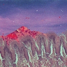 Naphta/Braki: Under The Face