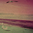 sleeptalking: warmsandcolsky