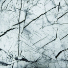 Inc. (Teen Inc.): Friend Of The Night